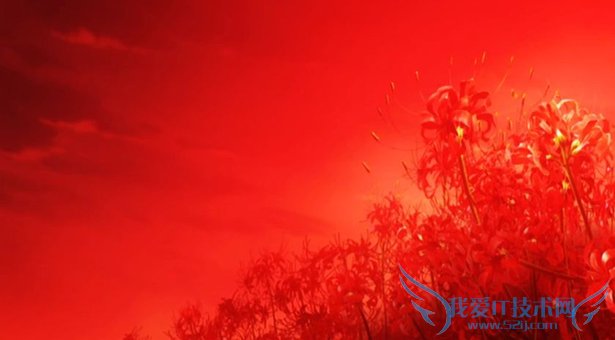 彼岸花的传说 彼岸花图片 彼岸花的花语