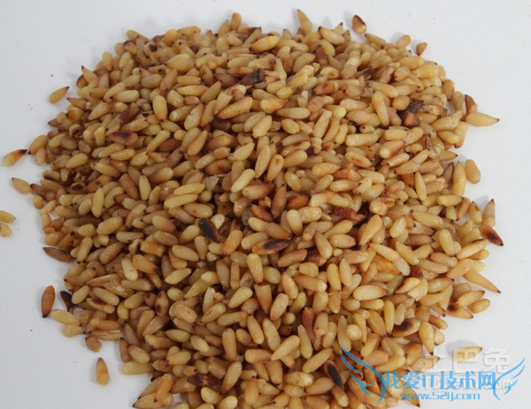 柏子仁食用方法