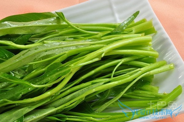 空心菜种植方法 空心菜种植方法