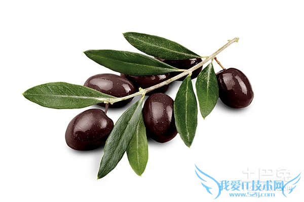 乌榄图片