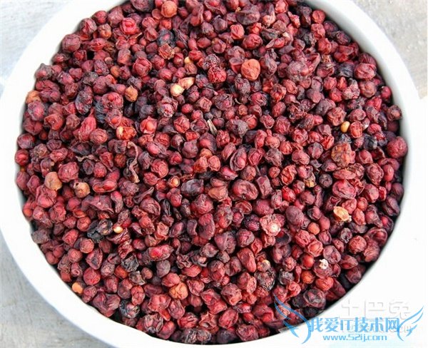 北五味子的功效与作用