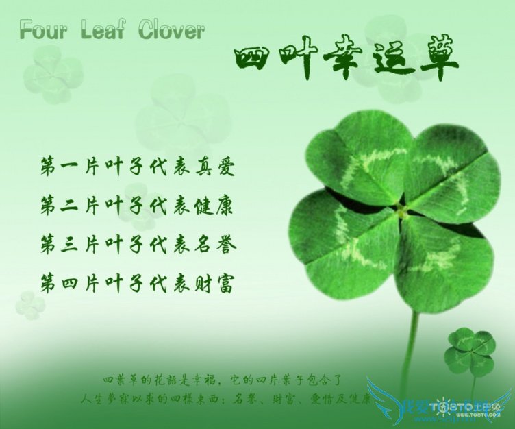 四叶草的含义 四叶草幸运的象征