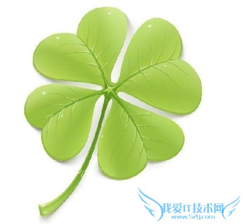 四叶草的含义 四叶草幸运的象征