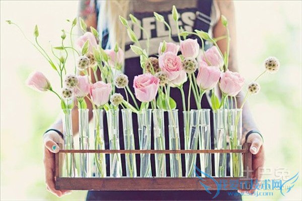 水培花卉催根 水培花卉催根