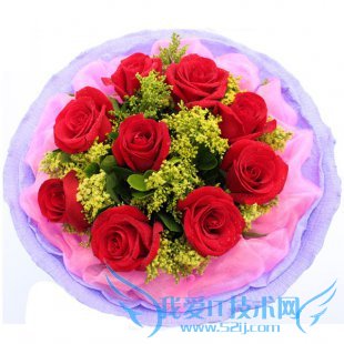 Ŷõʲô˼?ͬɫŶõ廨