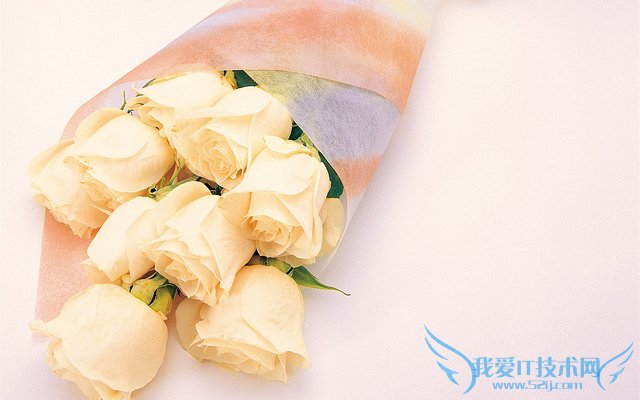 Ŷõʲô˼?ͬɫŶõ廨