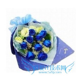 Ŷõʲô˼?ͬɫŶõ廨