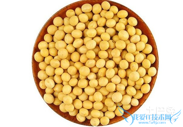 大豆种植 大豆种植