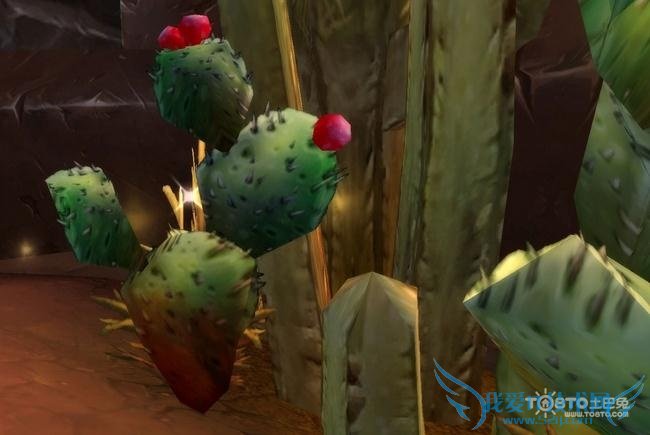 仙人掌果功效 仙人掌果功效