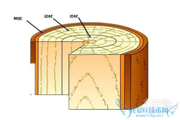 崖柏的药用价值