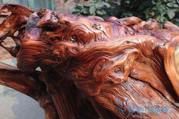 崖柏的药用价值