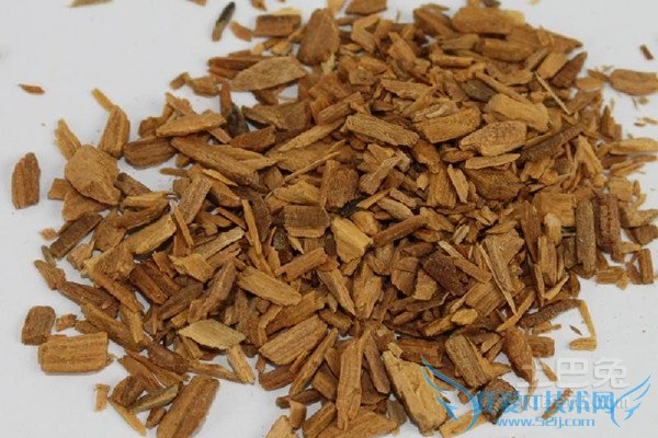 檀香有毒吗 檀香有毒吗