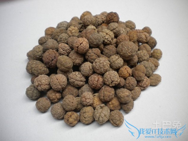 草豆蔻的功效与作用