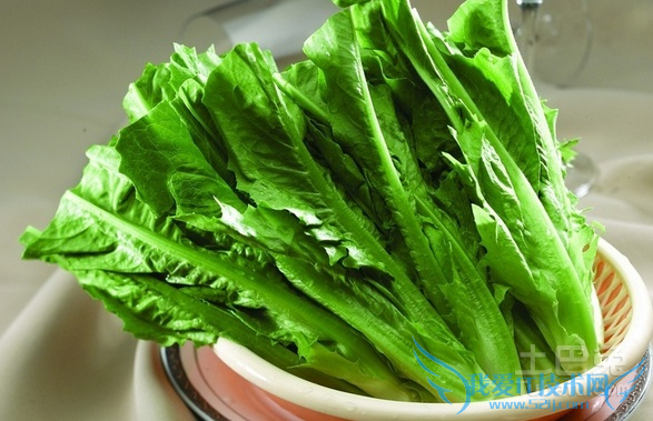 油麦菜的营养价值