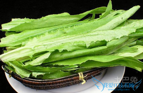 油麦菜的营养价值