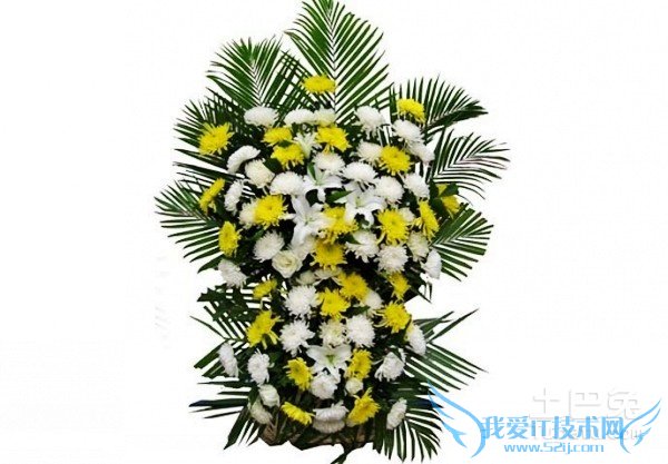 祭奠鲜花 祭奠鲜花