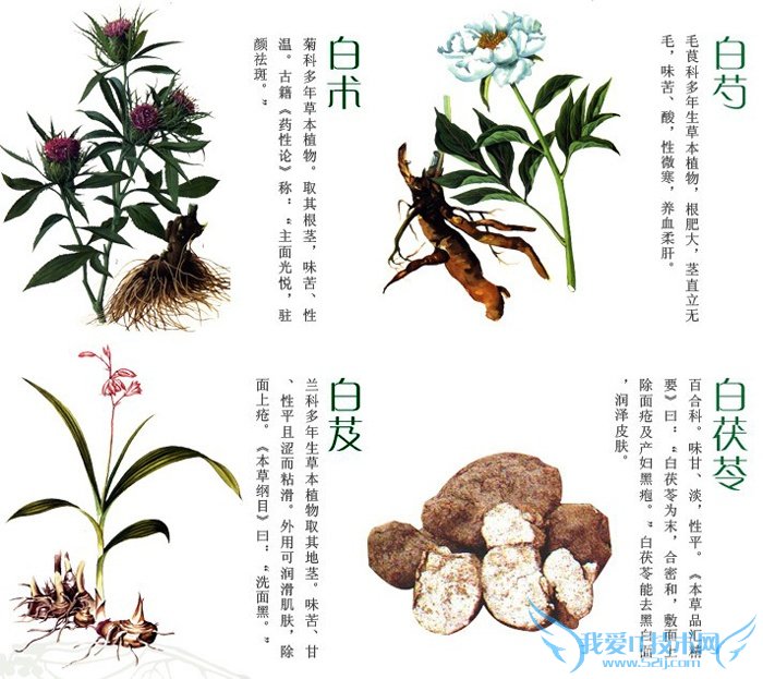 °×ܸµÄÃÀÈݹ¦Ð§