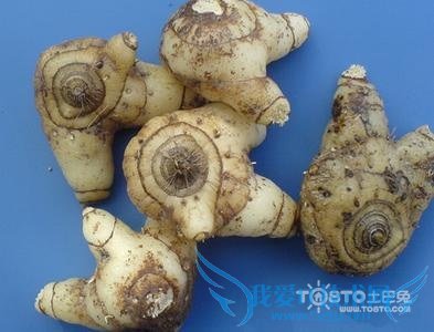 °×ܸµÄÃÀÈݹ¦Ð§