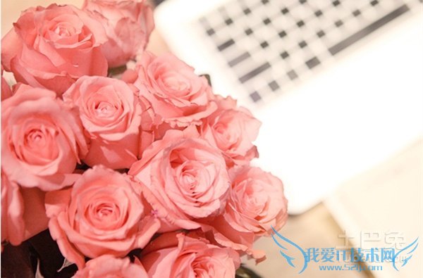 戴安娜玫瑰花语