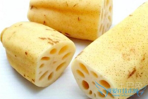 藕节的功效与作用 藕节的功效与作用