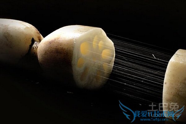 藕节的功效与作用 藕节的功效与作用