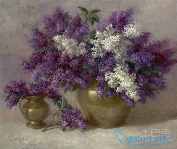 油画花卉 油画花卉