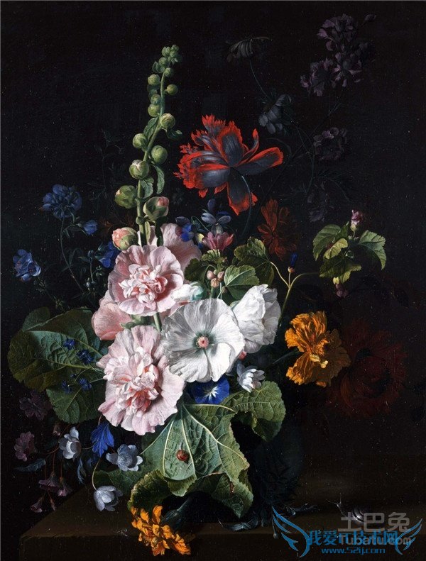 油画花卉 油画花卉