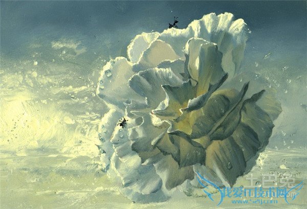 油画花卉 油画花卉