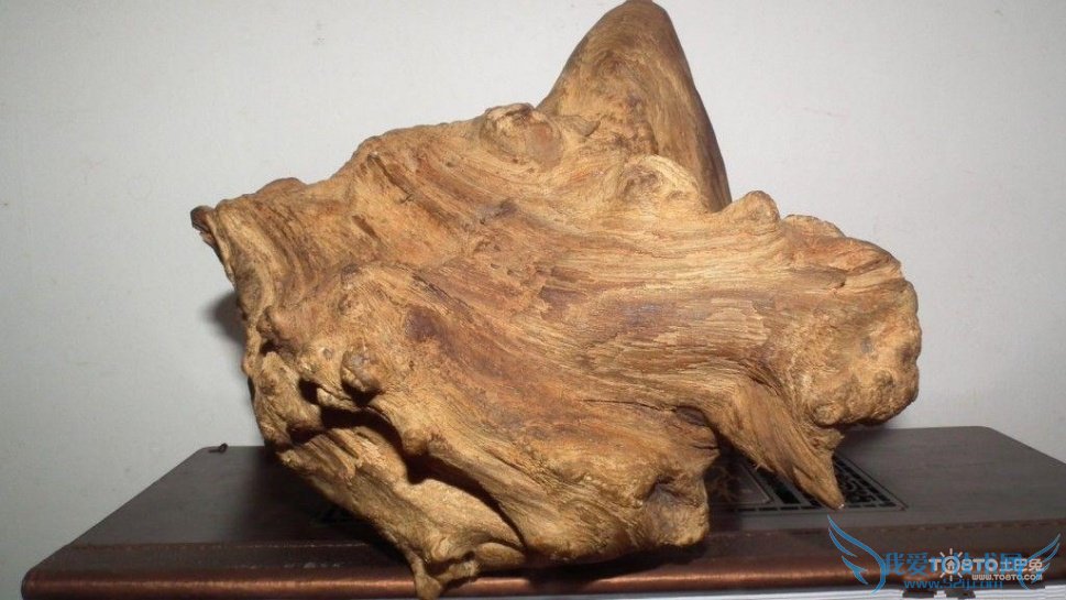 沉香木的功效与作用 沉香与沉香木的区别