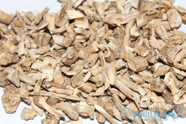 白鲜皮的作用与功效