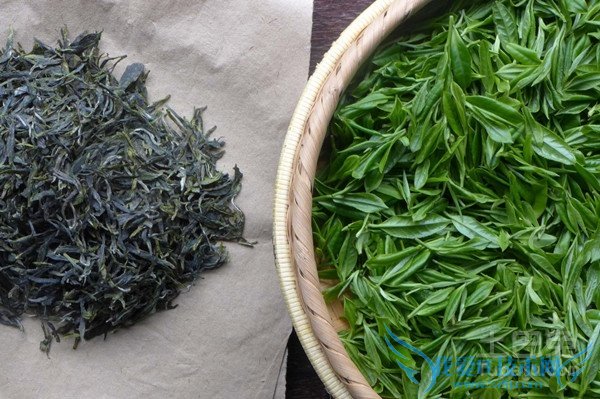 普洱茶生茶和熟茶的区别 普洱茶生茶和熟茶的区别