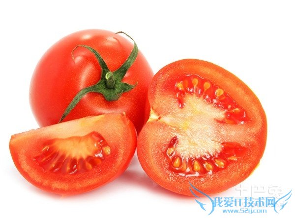 番茄种植方法 番茄种植方法