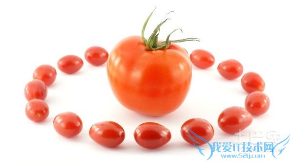 番茄种植方法 番茄种植方法