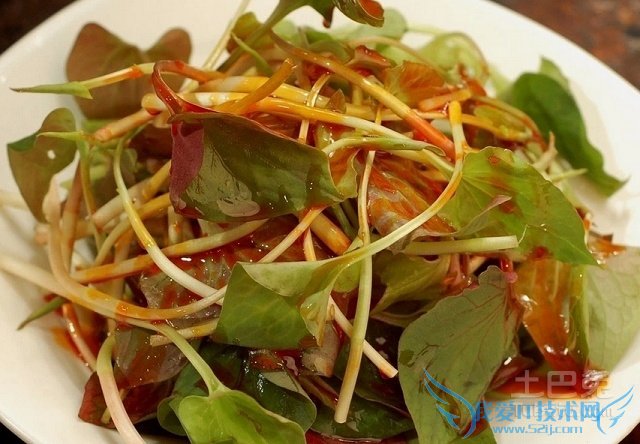 鱼腥草的功效与作用 鱼腥草的功效与作用