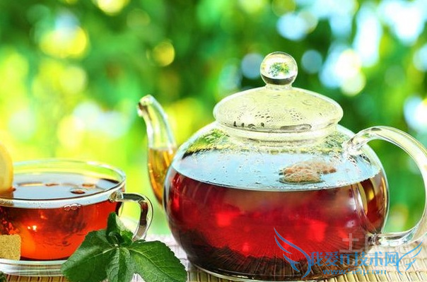 红茶减肥 红茶减肥