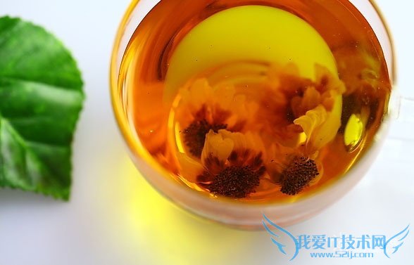 雪菊的功效与作用及食用方法