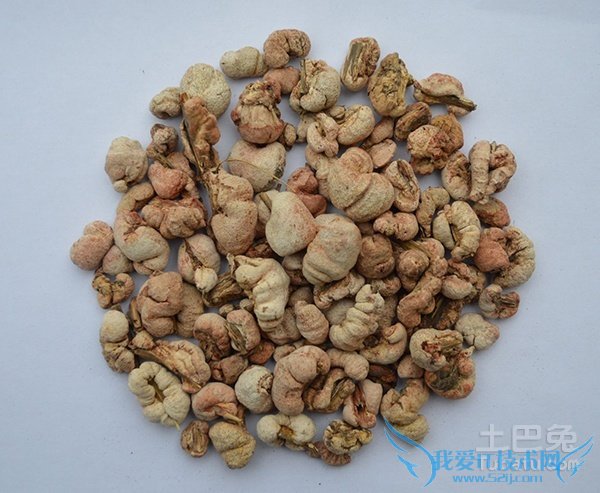 竹黄泡酒 竹黄泡酒