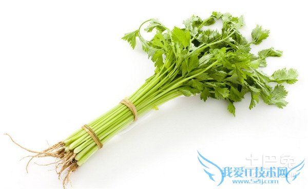 芹菜的功效与作用 芹菜的功效与作用