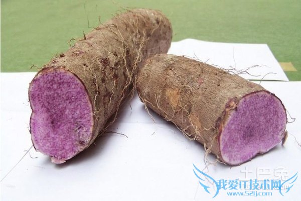 紫山药的功效与作用