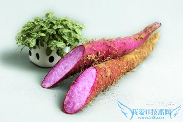 紫山药的功效与作用