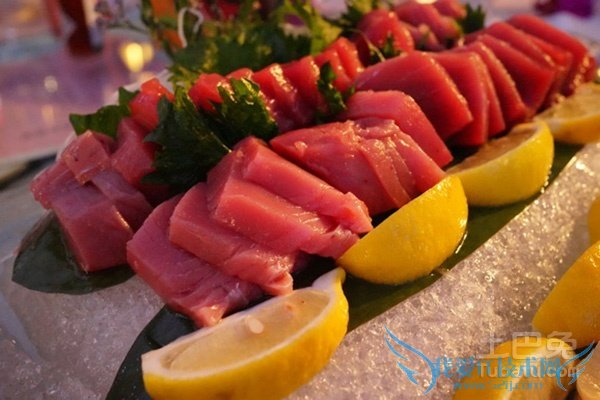 蓝鳍金枪鱼图片 蓝鳍金枪鱼图片