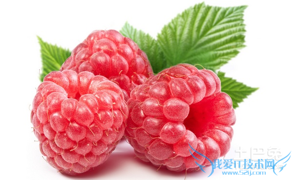 红莓的功效与作用 红莓的功效与作用