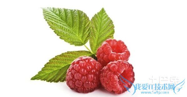 红莓的功效与作用 红莓的功效与作用