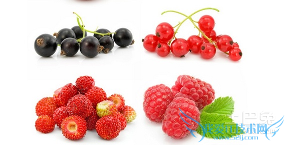红莓的功效与作用 红莓的功效与作用