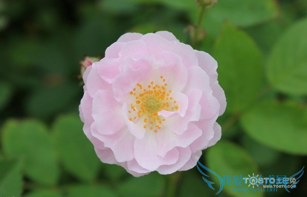 Ǿޱķˮ ĴøƼҾӷˮ