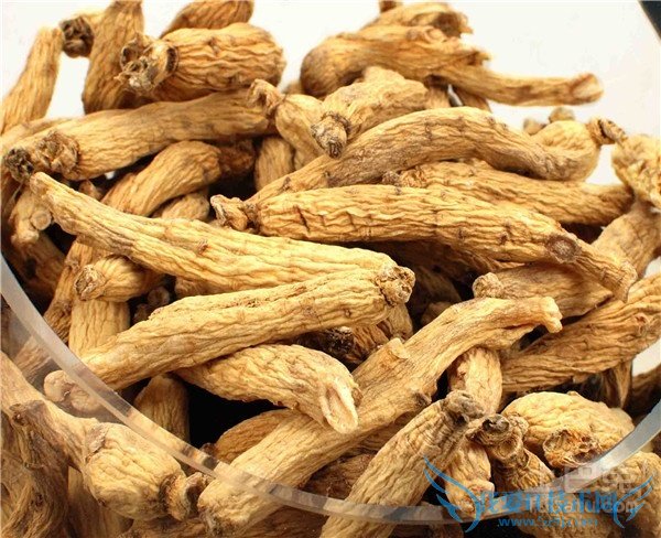 东洋参怎么吃 东洋参怎么吃