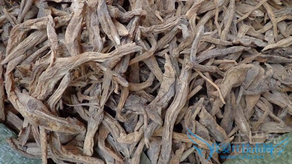 百部图片 百部图片