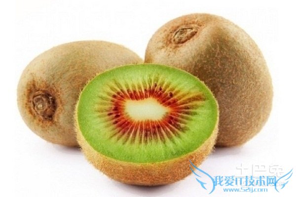 红阳猕猴桃种植技术