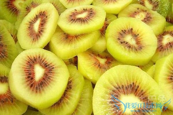 红阳猕猴桃种植技术