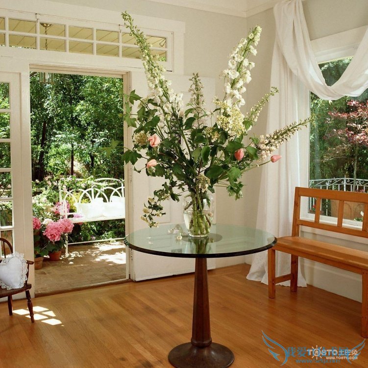 室内养花知识及养花风水